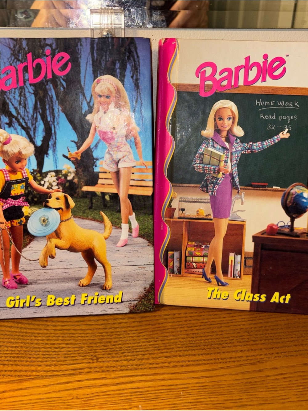 Barbie Books — Pink and Purple Accents